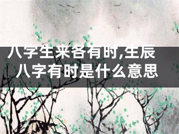 八字生来各有时,生辰八字有时是什么意思