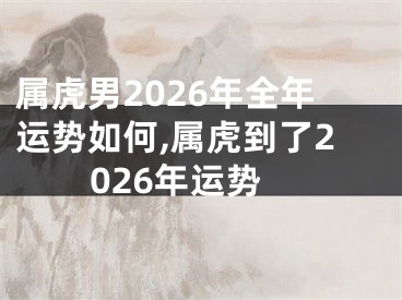 属虎男2026年全年运势如何,属虎到了2026年运势