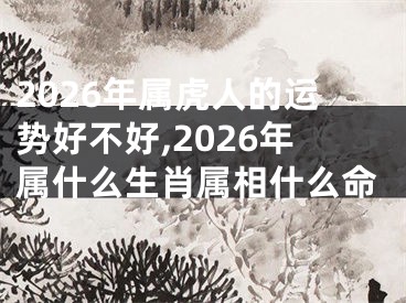 2026年属虎人的运势好不好,2026年属什么生肖属相什么命