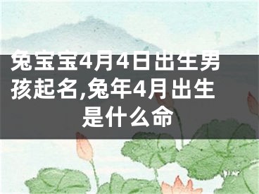 兔宝宝4月4日出生男孩起名,兔年4月出生是什么命