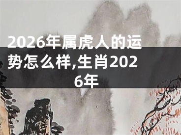 2026年属虎人的运势怎么样,生肖2026年