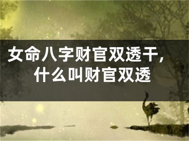 女命八字财官双透干,什么叫财官双透
