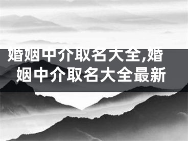 婚姻中介取名大全,婚姻中介取名大全最新
