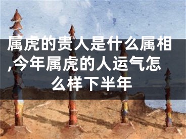属虎的贵人是什么属相,今年属虎的人运气怎么样下半年