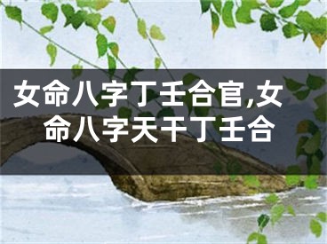女命八字丁壬合官,女命八字天干丁壬合