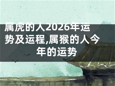 属虎的人2026年运势及运程,属猴的人今年的运势