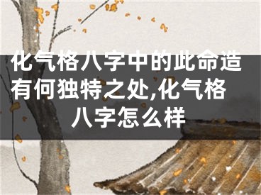 化气格八字中的此命造有何独特之处,化气格八字怎么样