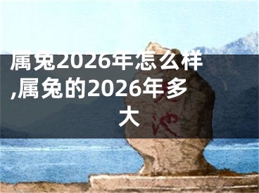 属兔2026年怎么样,属兔的2026年多大