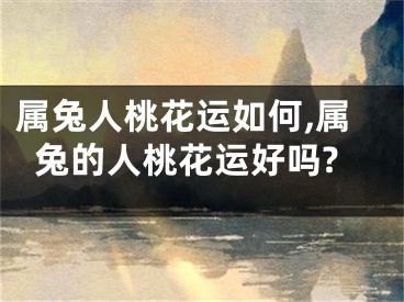 属兔人桃花运如何,属兔的人桃花运好吗?