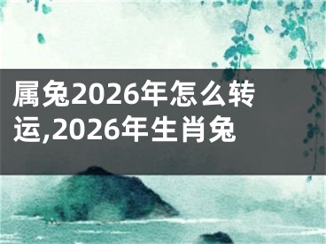 属兔2026年怎么转运,2026年生肖兔