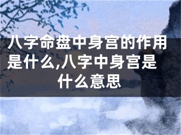 八字命盘中身宫的作用是什么,八字中身宫是什么意思