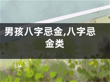 男孩八字忌金,八字忌金类