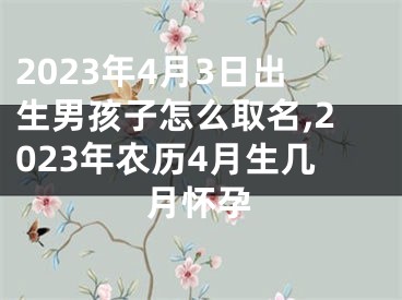 2023年4月3日出生男孩子怎么取名,2023年农历4月生几月怀孕