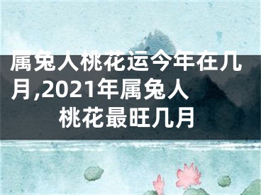 属兔人桃花运今年在几月,2021年属兔人桃花最旺几月