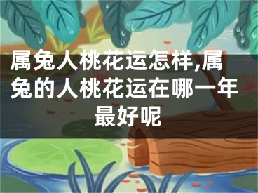 属兔人桃花运怎样,属兔的人桃花运在哪一年最好呢