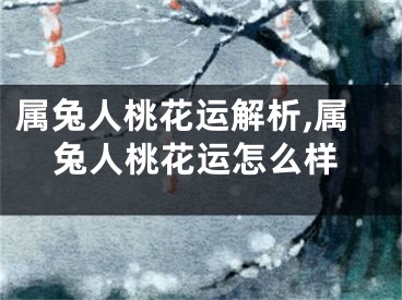 属兔人桃花运解析,属兔人桃花运怎么样
