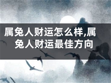 属兔人财运怎么样,属兔人财运最佳方向