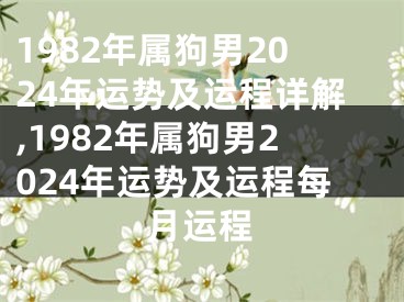1982年属狗男2024年运势及运程详解,1982年属狗男2024年运势及运程每月运程