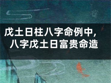 戊土日柱八字命例中,八字戊土日富贵命造
