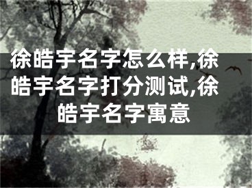 徐皓宇名字怎么样,徐皓宇名字打分测试,徐皓宇名字寓意