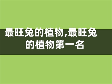 最旺兔的植物,最旺兔的植物第一名