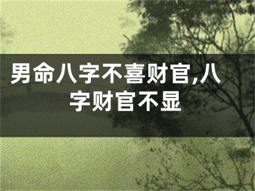 男命八字不喜财官,八字财官不显