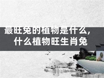 最旺兔的植物是什么,什么植物旺生肖兔