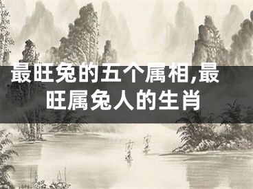 最旺兔的五个属相,最旺属兔人的生肖