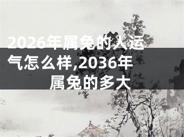 2026年属兔的人运气怎么样,2036年属兔的多大