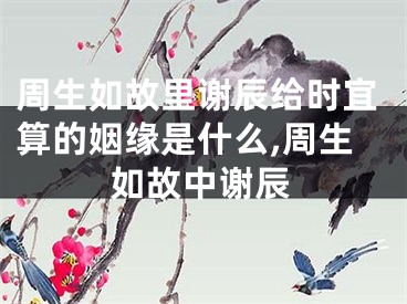 周生如故里谢辰给时宜算的姻缘是什么,周生如故中谢辰