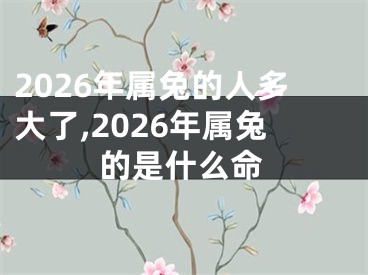 2026年属兔的人多大了,2026年属兔的是什么命