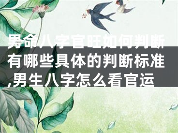 男命八字官旺如何判断有哪些具体的判断标准,男生八字怎么看官运
