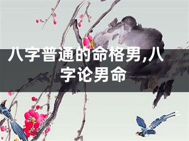 八字普通的命格男,八字论男命