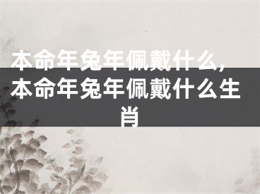 本命年兔年佩戴什么,本命年兔年佩戴什么生肖