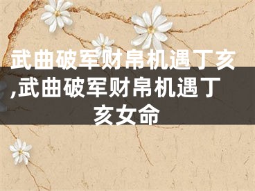 武曲破军财帛机遇丁亥,武曲破军财帛机遇丁亥女命