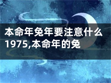 本命年兔年要注意什么1975,本命年的兔