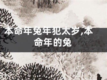 本命年兔年犯太岁,本命年的兔