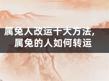 属兔人改运十大方法,属兔的人如何转运