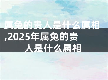 属兔的贵人是什么属相,2025年属兔的贵人是什么属相