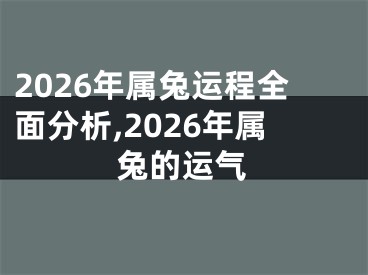 2026年属兔运程全面分析,2026年属兔的运气