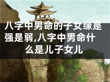 八字中男命的子女缘是强是弱,八字中男命什么是儿子女儿