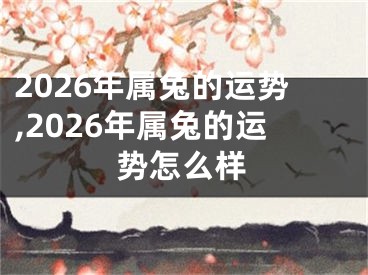 2026年属兔的运势,2026年属兔的运势怎么样