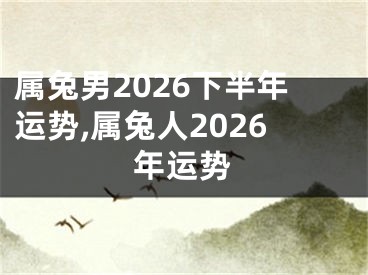 属兔男2026下半年运势,属兔人2026年运势