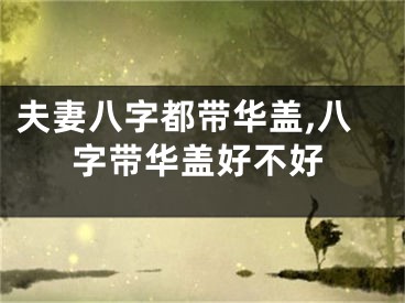 夫妻八字都带华盖,八字带华盖好不好