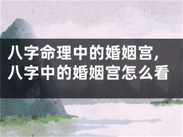 八字命理中的婚姻宫,八字中的婚姻宫怎么看