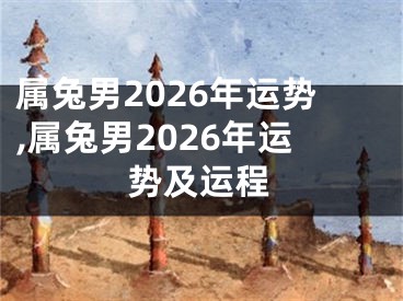 属兔男2026年运势,属兔男2026年运势及运程