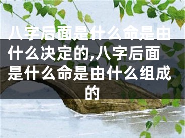 八字后面是什么命是由什么决定的,八字后面是什么命是由什么组成的
