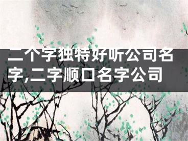 二个字独特好听公司名字,二字顺口名字公司