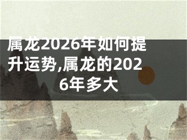 属龙2026年如何提升运势,属龙的2026年多大