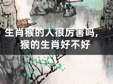 生肖猴的人很厉害吗,猴的生肖好不好